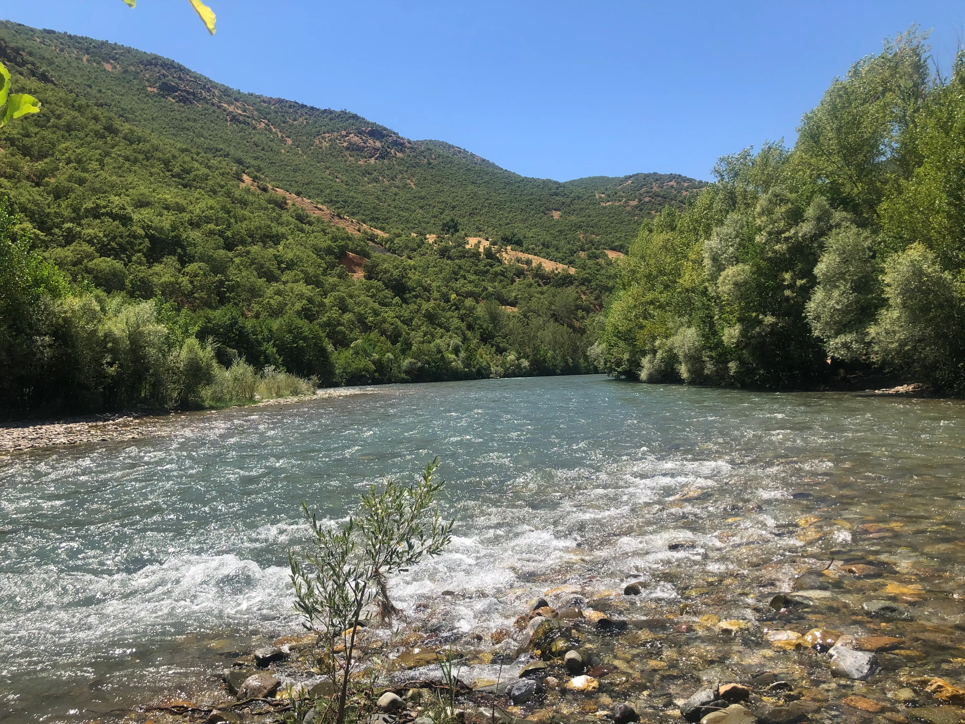 Munzur Vadisi’nde akan berrak nehir